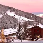 Penthouse L'ourse Bleue - Sauna Privatif - Acces Direct Aux Pistes 公寓 谷雪维尔