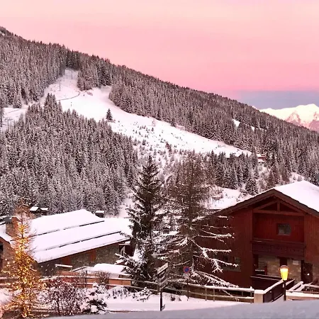 Penthouse L'ourse Bleue - Sauna Privatif - Acces Direct Aux Pistes Appartement Courchevel
