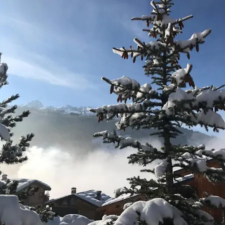 Penthouse L'ourse Bleue - Sauna Privatif - Acces Direct Aux Pistes Appartement Courchevel